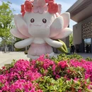 上海旅游 缩略图 1