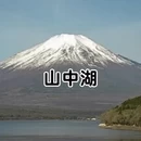 上海旅游 缩略图 3