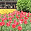 北京旅游 缩略图 13