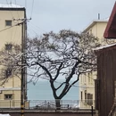 青岛旅游 缩略图 6