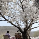 大连旅游 缩略图 17