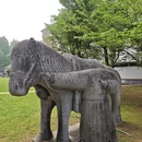 南京旅游 缩略图 8
