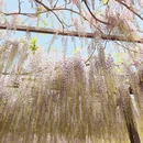北京旅游 缩略图 9