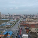 深圳旅游 缩略图 12