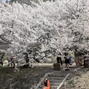 大连旅游 缩略图 9