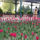 北京旅游 缩略图 11