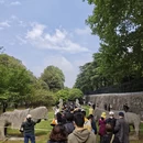 南京旅游 缩略图 7