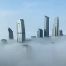 青岛旅游 缩略图 2