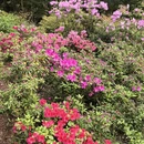 南京旅游 缩略图 8