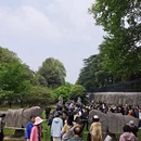 南京旅游 缩略图 5