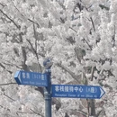 大连旅游 缩略图 10