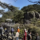 黄山旅游 缩略图 1