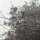 萍乡旅游 缩略图 6