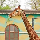 北京旅游 缩略图 4