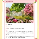 上海旅游 缩略图 14