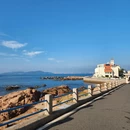 青岛旅游 缩略图 1