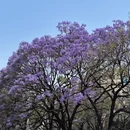 昆明旅游 缩略图 2