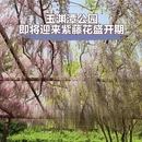 北京旅游 缩略图 1