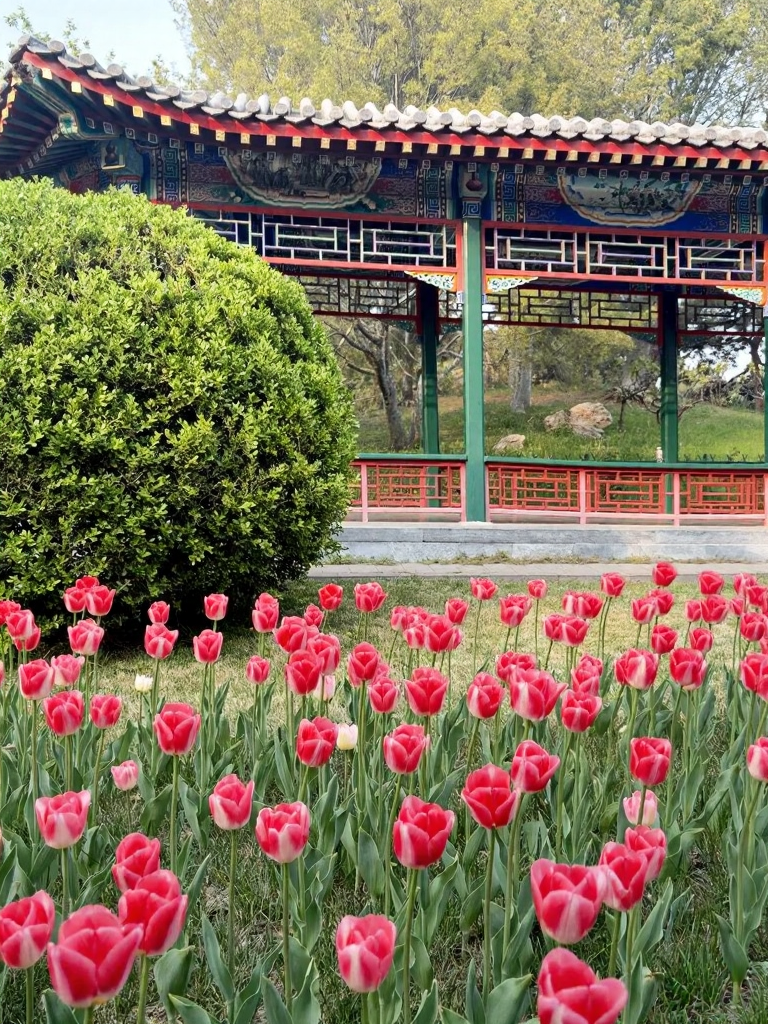 北京旅游