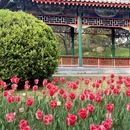 北京旅游 缩略图 1