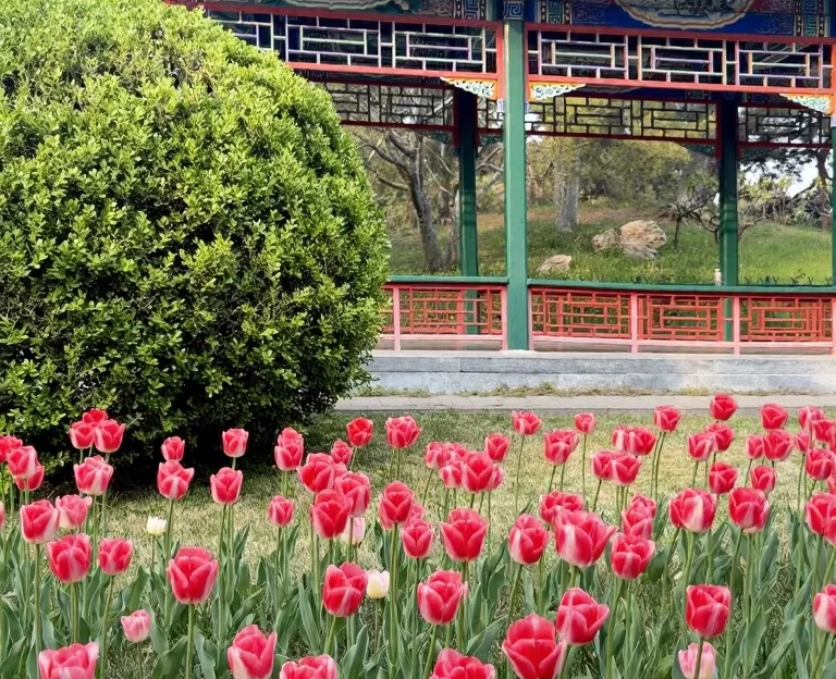 北京旅游 1