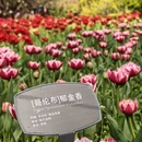 北京旅游 缩略图 9