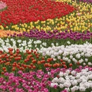 北京旅游 缩略图 2
