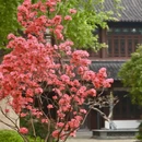 南京旅游 缩略图 8