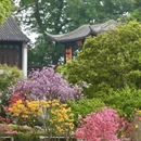 南京旅游 缩略图 2