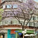 昆明旅游 缩略图 3