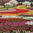北京旅游 缩略图 8