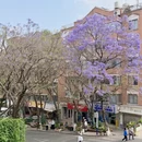 昆明旅游 缩略图 4
