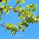 西安旅游 缩略图 6