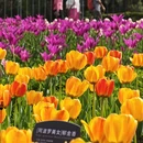北京旅游 缩略图 7