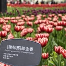 北京旅游 缩略图 10