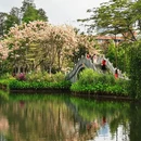 深圳旅游 缩略图 9