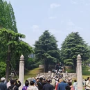 南京旅游 缩略图 1