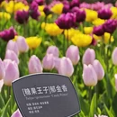 北京旅游 缩略图 4