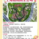 上海旅游 缩略图 3