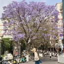 昆明旅游 缩略图 1