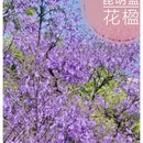 昆明旅游 缩略图 1