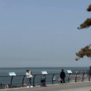 青岛旅游 缩略图 3