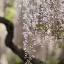 北京旅游 缩略图 3