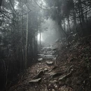 萍乡旅游 缩略图 9