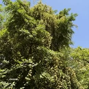 西安旅游 缩略图 5