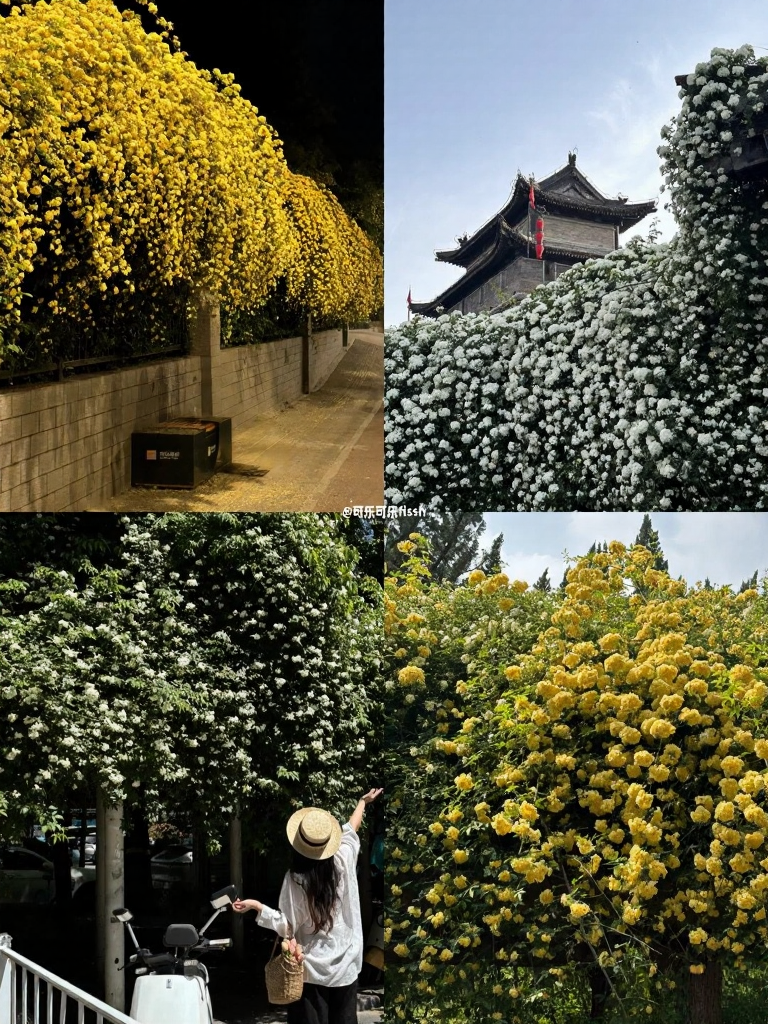西安旅游