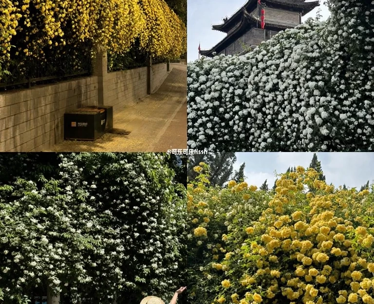 西安旅游 1
