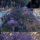 昆明旅游 缩略图 2