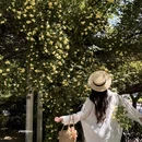 西安旅游 缩略图 6