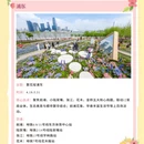 上海旅游 缩略图 5